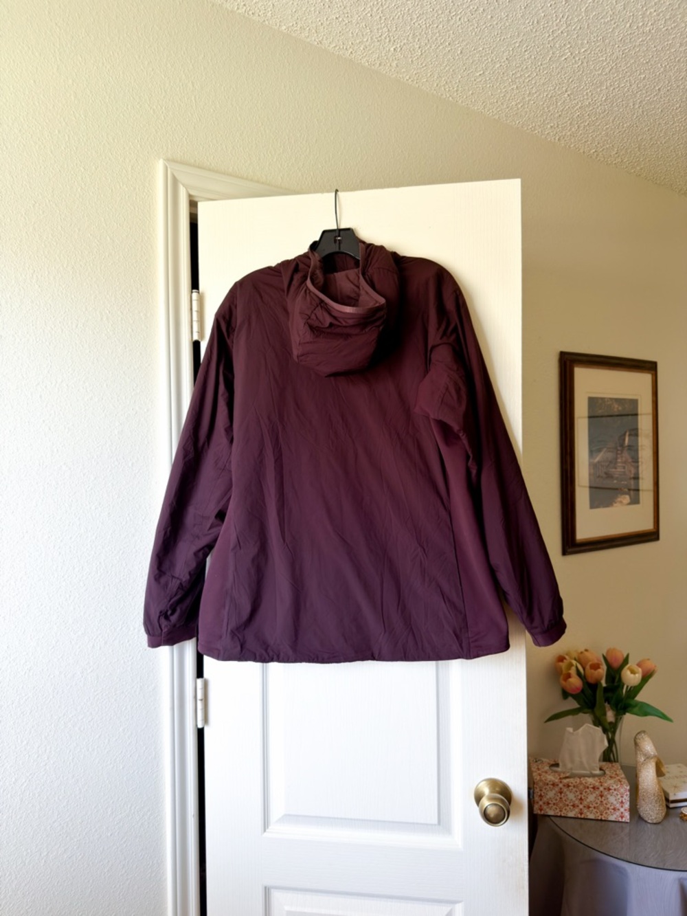 Arc’teryx Atom LT Hoody Jacket Insulated Phantasm Brown XL EUC - Picture 10 of 11